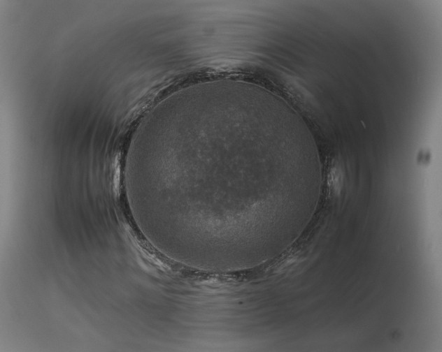 X0000113370868200909221221