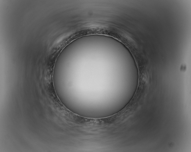 X0000113370869200909221221