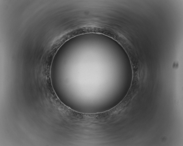 X0000113370870200909221221