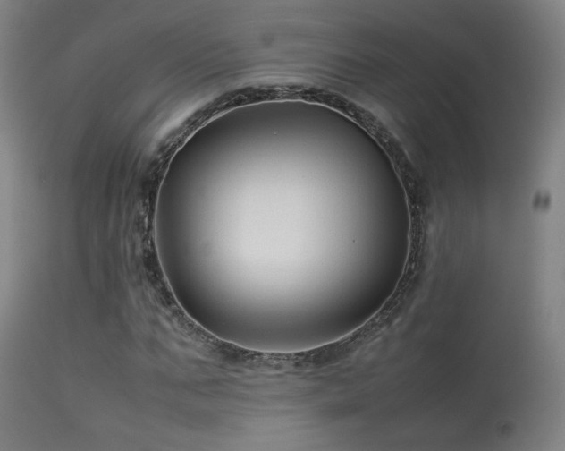 X0000113370871200909221221