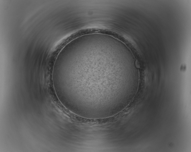 X0000113370872200909221221