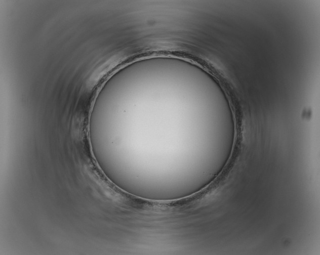 X0000113370873200909221221