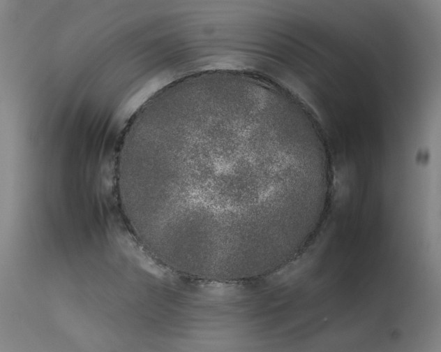 X0000113370874200909221221