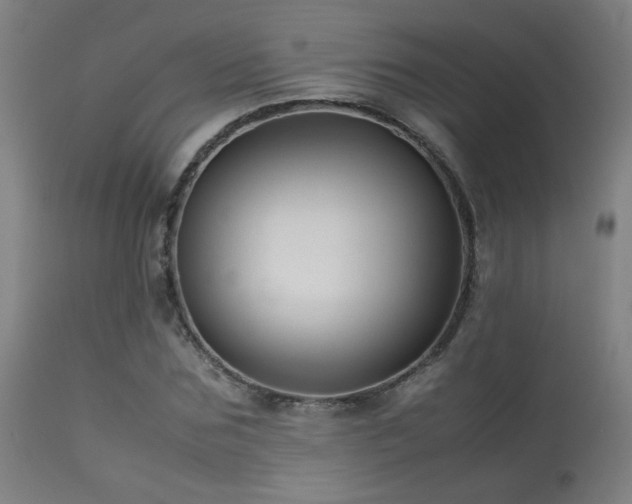 X0000113370875200909221221