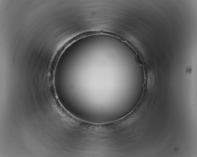 X0000113370876200909221221