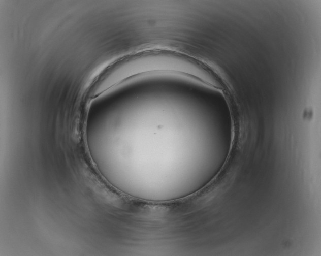 X0000113370878200909221221