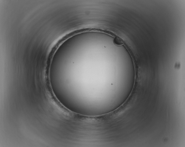 X0000113370880200909221221