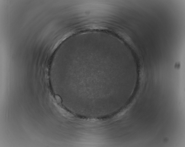 X0000113370881200909221221