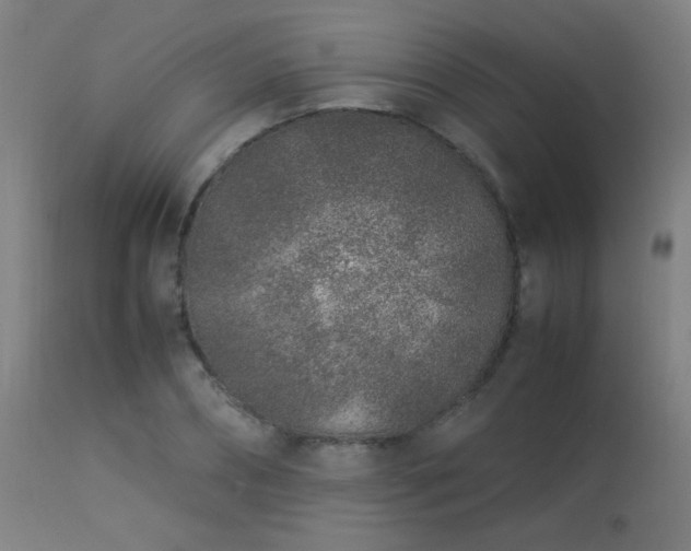 X0000113370882200909221221