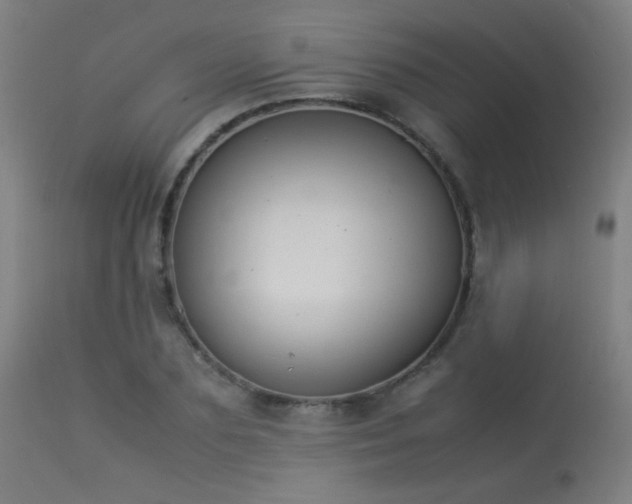 X0000113370883200909221221