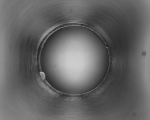 X0000113370884200909221220