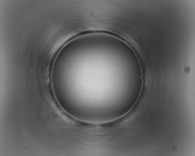 X0000113370885200909221220