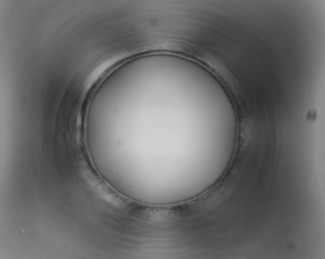 X0000113370886200909221220