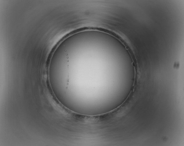 X0000113370887200909221220