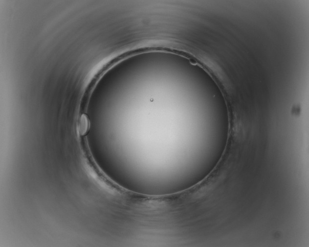 X0000113370888200909221220
