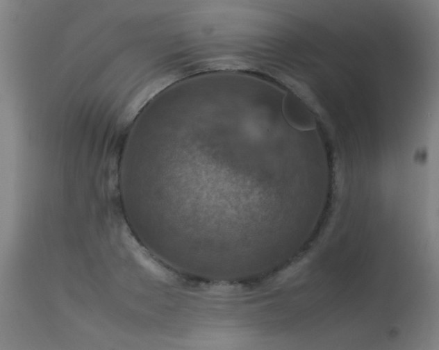 X0000113370889200909221220