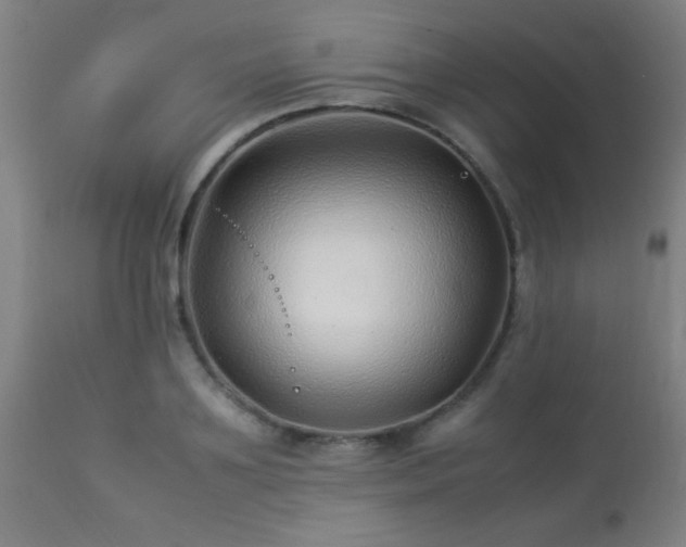 X0000113370891200909221220