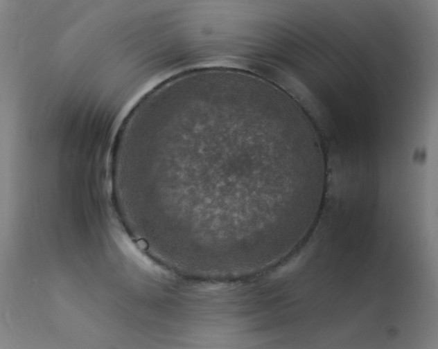 X0000113370892200909221220