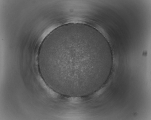 X0000113370893200909221220