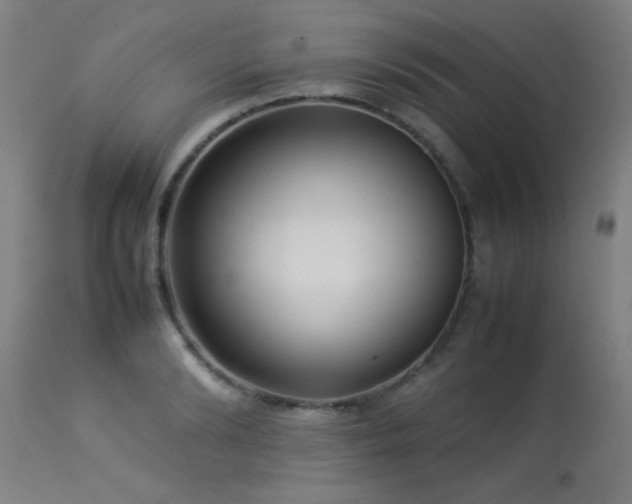 X0000113370894200909221220