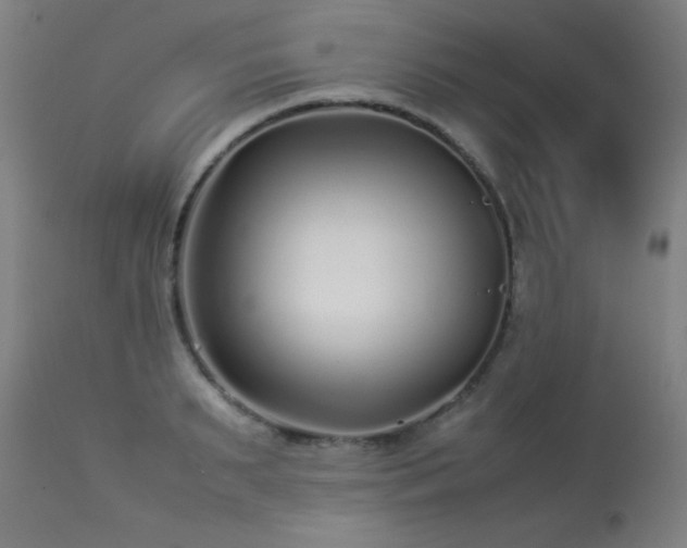 X0000113370895200909221220