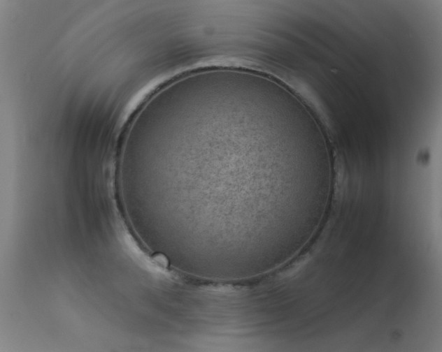 X0000113370896200909221220