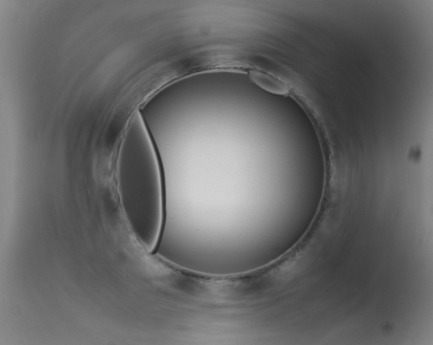 X0000113370897200909221220