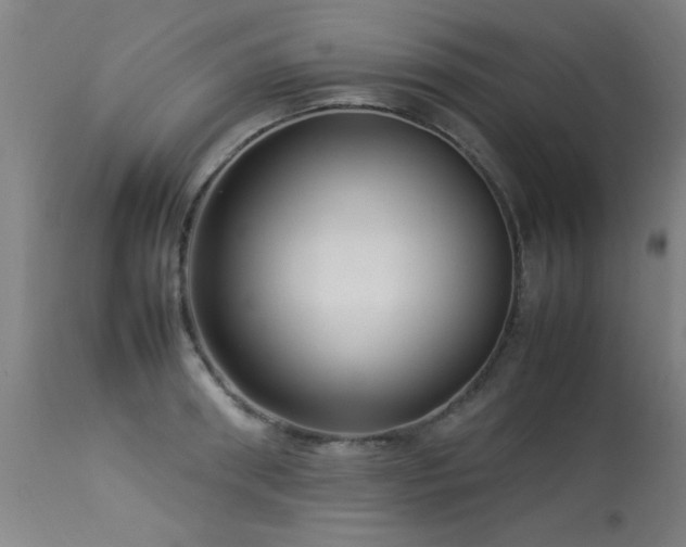 X0000113370898200909221220