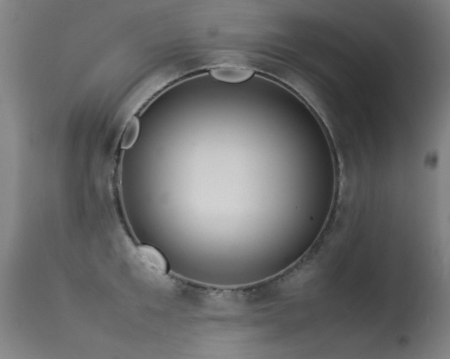 X0000113370901200909221220