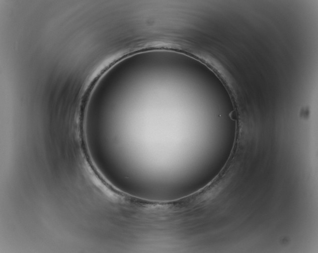 X0000113370902200909221220