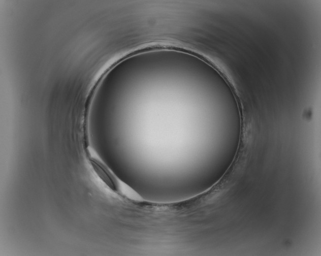 X0000113370903200909221220