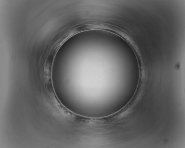 X0000113370905200909221220