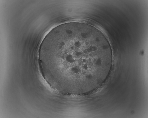X0000113370907200909221220