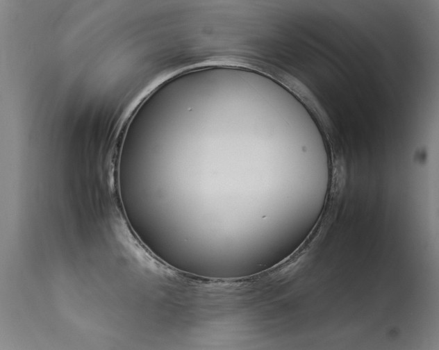X0000113370908200909221220
