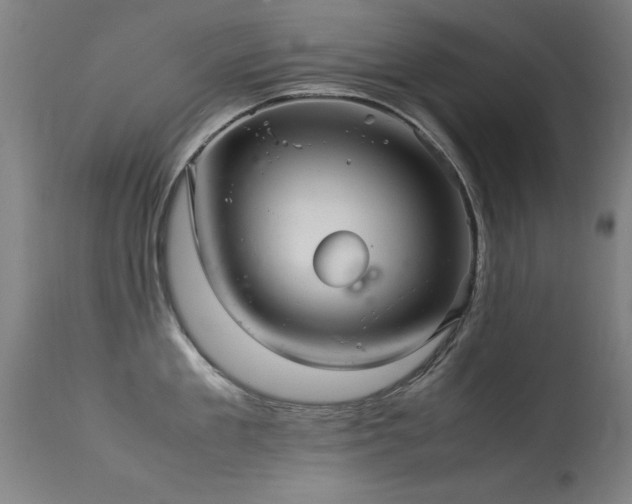 X0000113370909200909221220