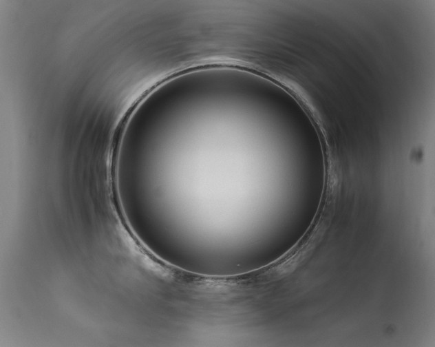 X0000113370910200909221220