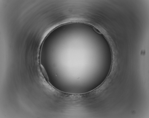 X0000113370912200909221220