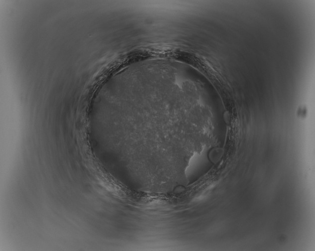 X0000113370913200909221219