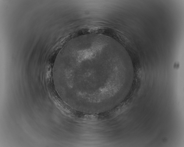 X0000113370914200909221219
