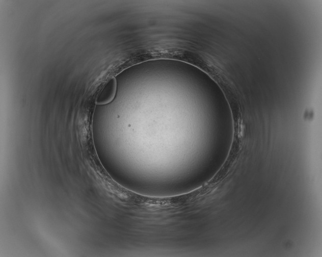 X0000113370915200909221219