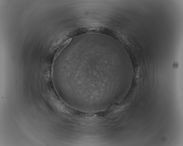 X0000113370916200909221219
