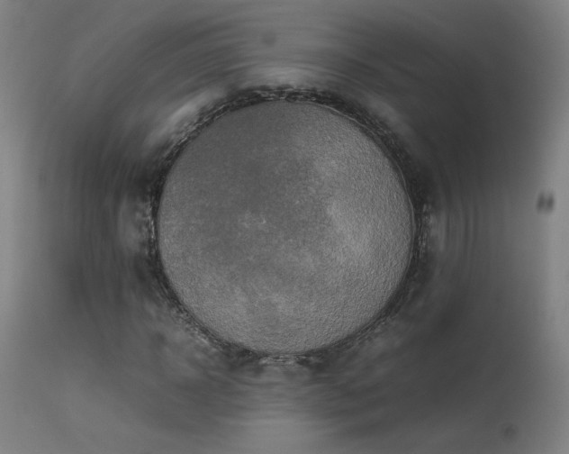 X0000113370918200909221219