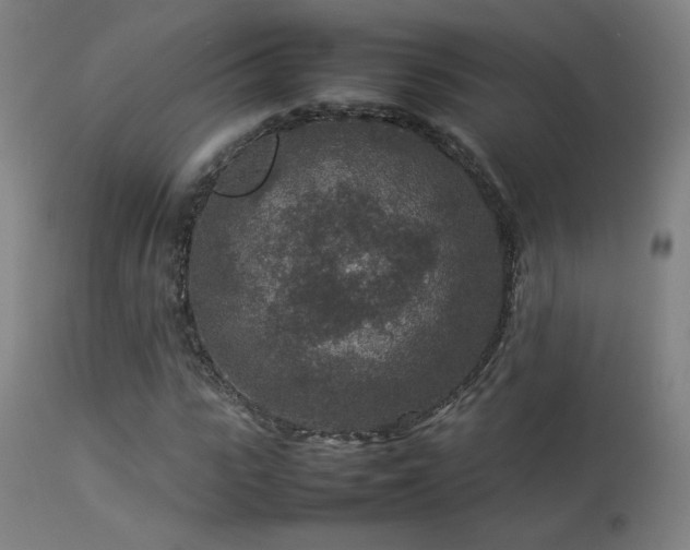 X0000113370919200909221219