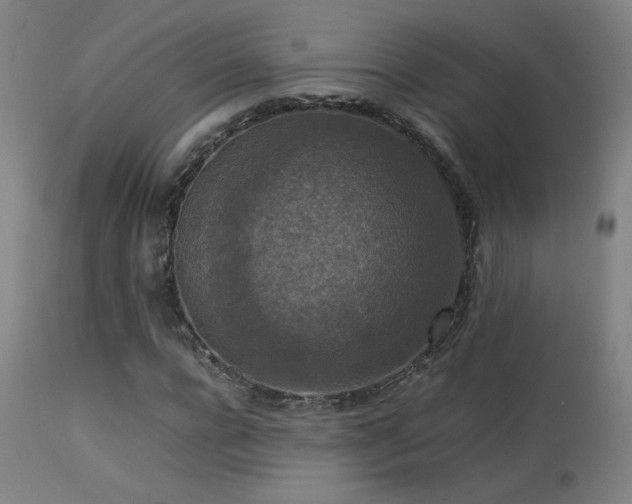 X0000113370920200909221219