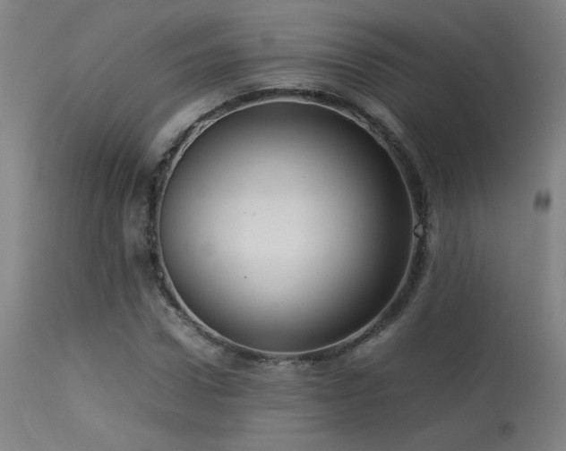 X0000113370922200909221219