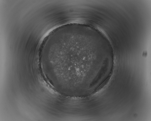 X0000113370923200909221219