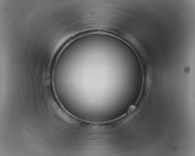 X0000113370924200909221219
