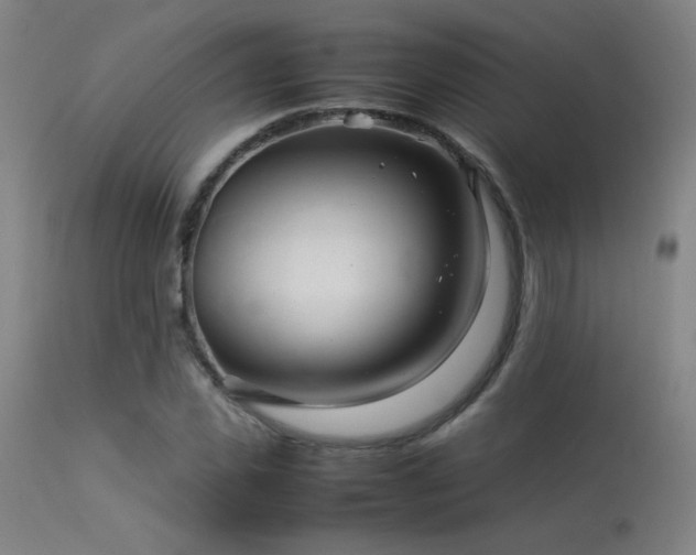 X0000113370925200909221219