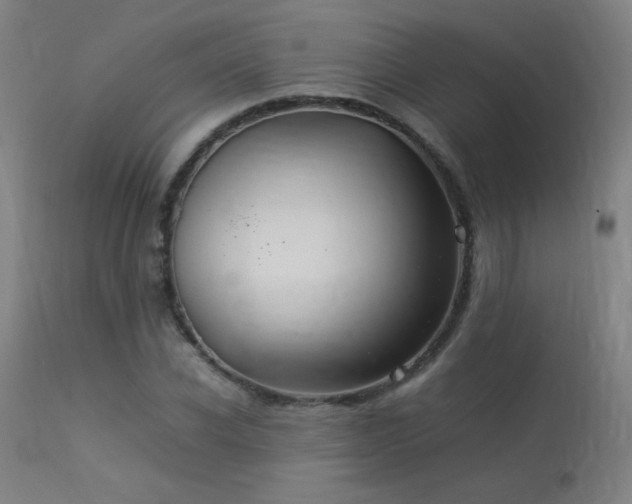 X0000113370926200909221219