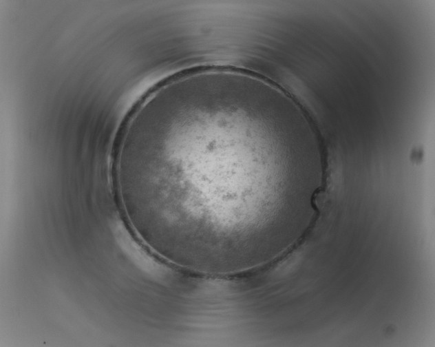 X0000113370932200909221220